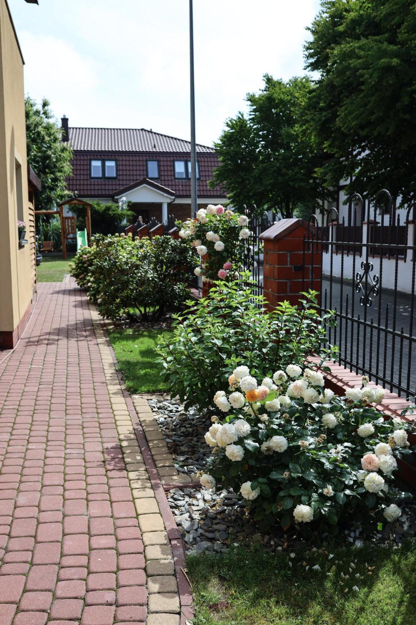 Kapitan Kik Homestay